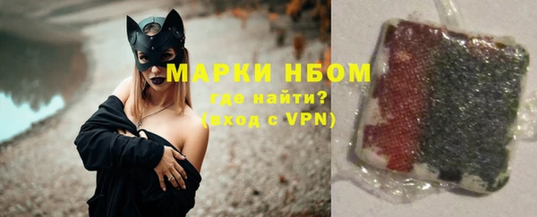 индика Краснотурьинск