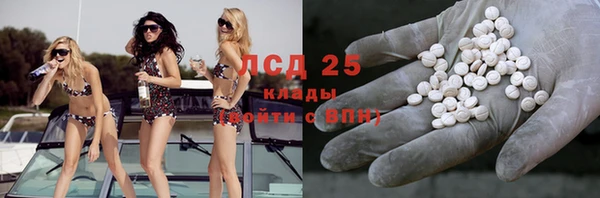индика Краснотурьинск