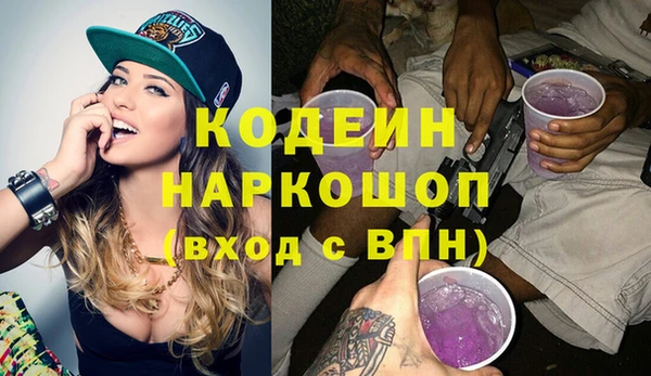 индика Краснотурьинск