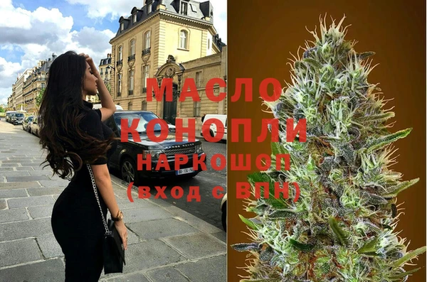 индика Краснотурьинск