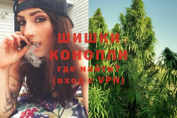 индика Краснотурьинск