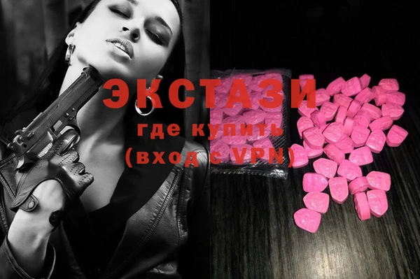 индика Краснотурьинск