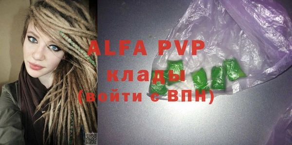 индика Краснотурьинск