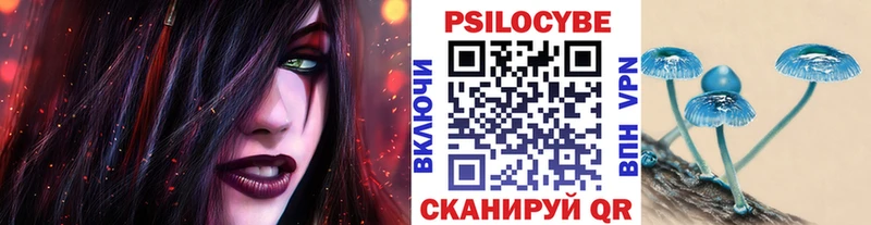 Купить закладки  Гвардейск  Псилоцибиновые грибы Magic Shrooms 